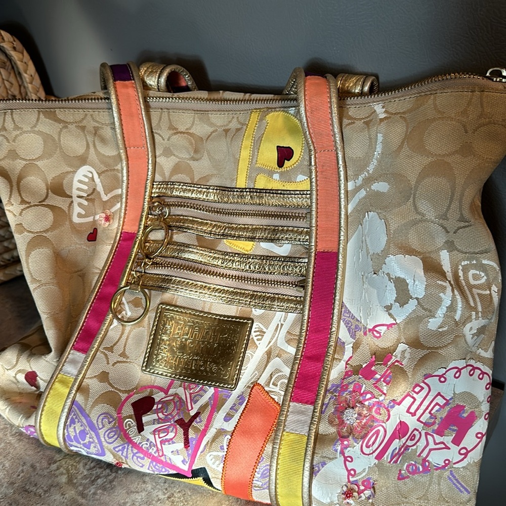 Coach Poppy Y2k Bag